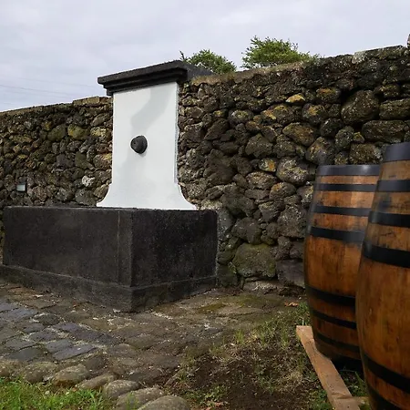Materramenta Biscoitos (Terceira)